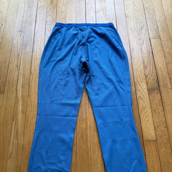 Patagonia Size XS Blue Capilene Performance Baselayer Pants Midweight Bottoms - Picture 15 of 15